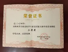 阿斯顿维拉前锋沃特金斯